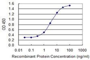 Detection limit for recombinant GST tagged MAGEB1 is 0.