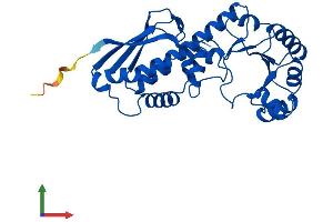 AlphaFold protein structure predicition of Human Recombinant QPRT Protein, UniprotID Q15274