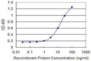 Detection limit for recombinant GST tagged SULT1C4 is 0.
