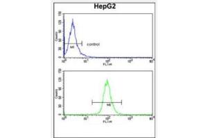 Flow Cytometry analysis of HepG2 cells using TNFAIP2 Antibody (Center) Cat.