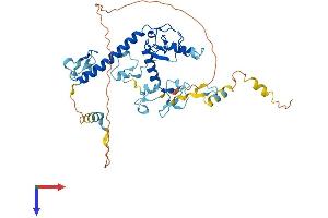 AlphaFold protein structure predicition of Mouse Recombinant Mkrn2 Protein, UniprotID Q9ERV1