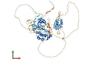 AlphaFold protein structure predicition of Mouse Recombinant Brsk1 Protein, UniprotID Q5RJI5