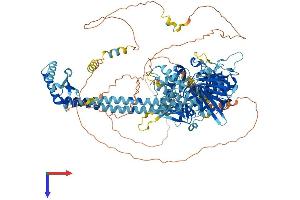 AlphaFold protein structure predicition of Human Recombinant NEMF Protein, UniprotID O60524