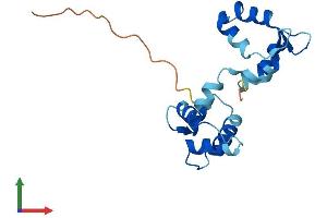 AlphaFold protein structure predicition of Human Recombinant MYL7 Protein, UniprotID Q01449