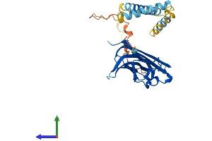 AlphaFold protein structure predicition of Mouse Recombinant Tnfsf11 Protein, UniprotID O35235