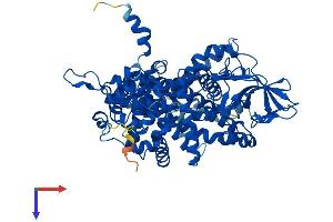 AlphaFold protein structure predicition of Mouse Recombinant Acox2 Protein, UniprotID Q9QXD1
