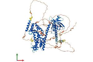 AlphaFold protein structure predicition of Mouse Recombinant Plekhg6 Protein, UniprotID Q8R0J1