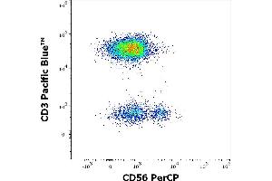 Flow cytometry multicolor surface staining of human lymphocytes stained using anti-human CD56 (LT56) PerCP antibody (10 μL reagent / 100 μL of peripheral whole blood) and anti-human CD3 (UCHT1) Pacific Blue antibody (4 μL reagent / 100 μL of peripheral whole blood). (CD56 anticorps  (PerCP))