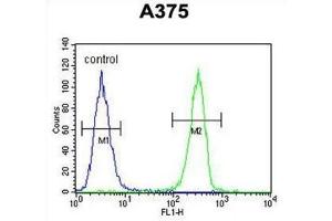 Flow Cytometry (FACS) image for anti-Homeobox A9 (HOXA9) antibody (ABIN3004038)