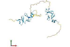 AlphaFold protein structure predicition of Human Recombinant CSRP1 Protein, UniprotID P21291