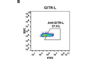 Flow cytometry data of serially titrated Rabbit anti-GITR-L monoclonal antibody (clone: DM53) on H929 cells. (Recombinant TNFRSF18 anticorps  (AA 50-177))