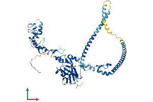 AlphaFold protein structure predicition of Human Recombinant TRAF5 Protein, UniprotID O00463