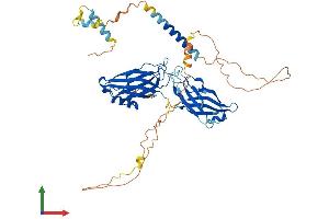 AlphaFold protein structure predicition of Mouse Recombinant Syt6 Protein, UniprotID Q9R0N8