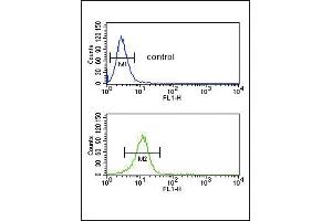 TR antibody (N-term) 6545a flow cytometric analysis of NCI- cells (bottom histogram) compared to a negative control cell (top histogram).