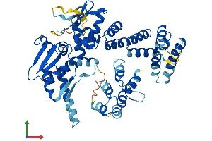 AlphaFold protein structure predicition of Mouse Recombinant Abtb1 Protein, UniprotID Q99LJ2