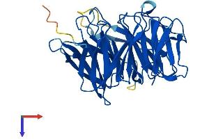 AlphaFold protein structure predicition of Mouse Recombinant Dcaf7 Protein, UniprotID P61963