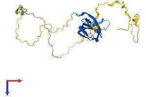 AlphaFold protein structure predicition of Mouse Recombinant Snrpb Protein, UniprotID P27048
