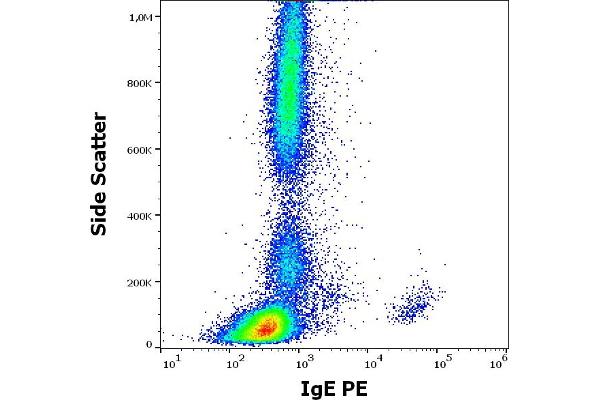 IgE anticorps  (PE)