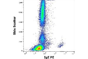 Flow cytometry surface staining pattern of human peripheral whole blood stained using anti-human IgE (4H10) PE antibody (concentration in sample 3 μg/mL). (IgE anticorps  (PE))