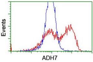 HEK293T cells transfected with either RC224304 overexpress plasmid (Red) or empty vector control plasmid (Blue) were immunostained by anti-ADH7 antibody (ABIN2455872), and then analyzed by flow cytometry. (ADH7 anticorps)