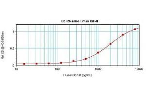 Image no. 1 for anti-Insulin-Like Growth Factor 2 (IGF2) antibody (Biotin) (ABIN465043) (IGF2 anticorps  (Biotin))
