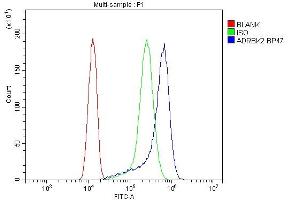 Flow Cytometry analysis of A431 cells using anti-GRK3 antibody (ABIN3043729).