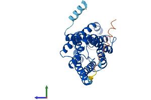 AlphaFold protein structure predicition of Mouse Recombinant Aqp9 Protein, UniprotID Q9JJJ3