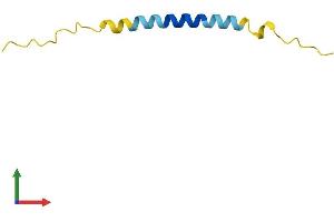 AlphaFold protein structure predicition of Mouse Recombinant Tma7 Protein, UniprotID Q8K003