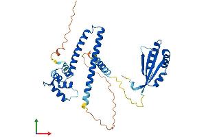 AlphaFold protein structure predicition of Mouse Recombinant Necab1 Protein, UniprotID Q8BG18