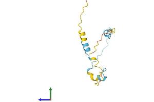 AlphaFold protein structure predicition of Mouse Recombinant Lbh Protein, UniprotID Q9CX60