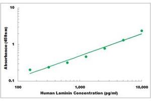 Representative Standard Curve (Laminin Kit ELISA)