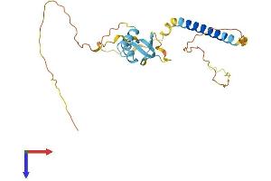AlphaFold protein structure predicition of Human Recombinant H1-7 Protein, UniprotID Q75WM6