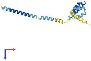 AlphaFold protein structure predicition of Human Recombinant TOMM20L Protein, UniprotID Q6UXN7