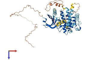 AlphaFold protein structure predicition of Mouse Recombinant Mknk2 Protein, UniprotID Q8CDB0
