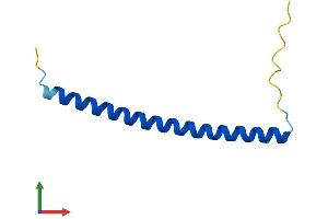 AlphaFold protein structure predicition of Mouse Recombinant Hsbp1 Protein, UniprotID Q9CQZ1