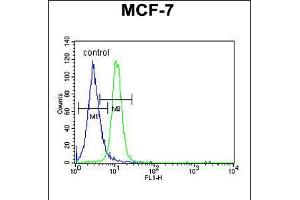 Flow cytometric analysis of MCF-7 cells (right histogram) compared to a negative control cell (left histogram). (PSG7 anticorps  (C-Term))
