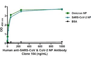 Human anti-SARS-CoV & CoV-2 NP Antibody Clone 104 (ng/mL)