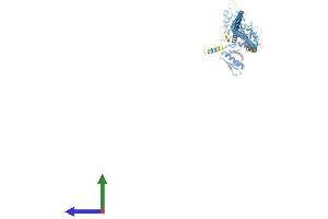 AlphaFold protein structure predicition of Human Recombinant SWAP70 Protein, UniprotID Q9UH65