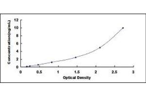 Typical standard curve (MMP26 Kit ELISA)