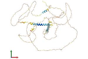 AlphaFold protein structure predicition of Human Recombinant MTDH Protein, UniprotID Q86UE4