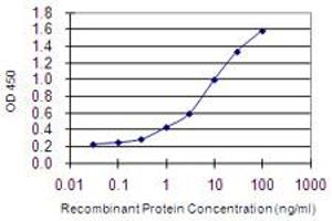 Detection limit for recombinant GST tagged CRIPT is 0.