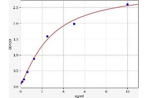 Typical standard curve (TMEM158 Kit ELISA)