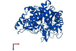 AlphaFold protein structure predicition of Human Recombinant GBA3 Protein, UniprotID Q9H227