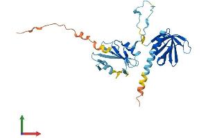 AlphaFold protein structure predicition of Mouse Recombinant Dapp1 Protein, UniprotID Q9QXT1