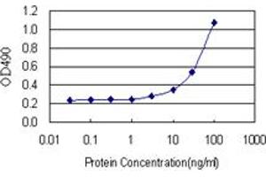 Sandwich ELISA detection sensitivity ranging from 3 ng/mL to 100 ng/mL. (ANXA1 (Humain) Matched Antibody Pair)