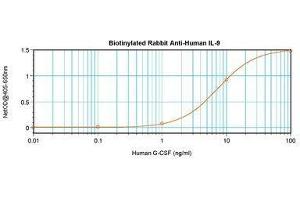 Image no. 2 for anti-Interleukin 9 (IL9) antibody (Biotin) (ABIN465832) (IL-9 anticorps  (Biotin))