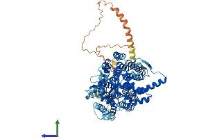 AlphaFold protein structure predicition of Human Recombinant DPY19L2 Protein, UniprotID Q6NUT2