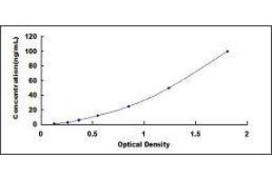 Typical standard curve