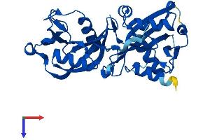 AlphaFold protein structure predicition of Human Recombinant NUDT18 Protein, UniprotID Q6ZVK8