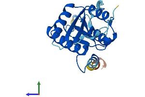 AlphaFold protein structure predicition of Human Recombinant CENPM Protein, UniprotID Q9NSP4
